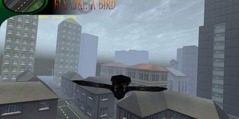 Летать, как Птица 3 / Fly Like a Bird 3