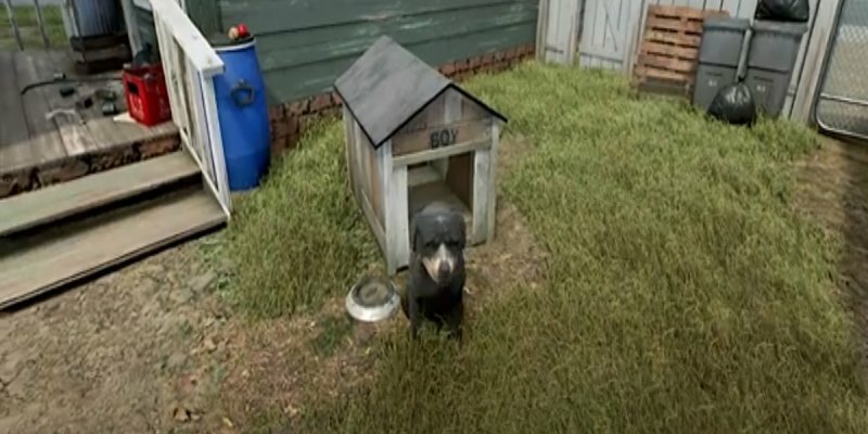 Прогулка с Собакой / Walk the dog