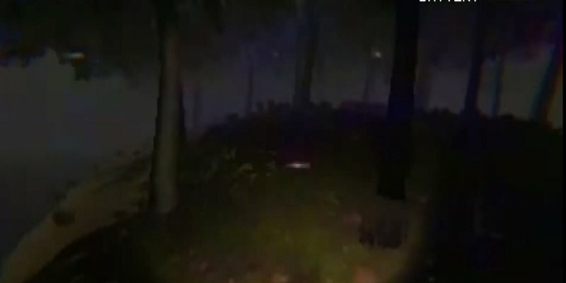 Озеро в Лесу / The Lake in the Woods