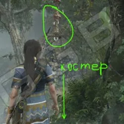 Shadow of the Tomb Raider испытание это цветочки где искать