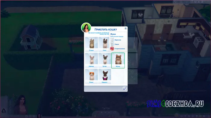 Как купить питомца в The Sims 4 - Изображение 3