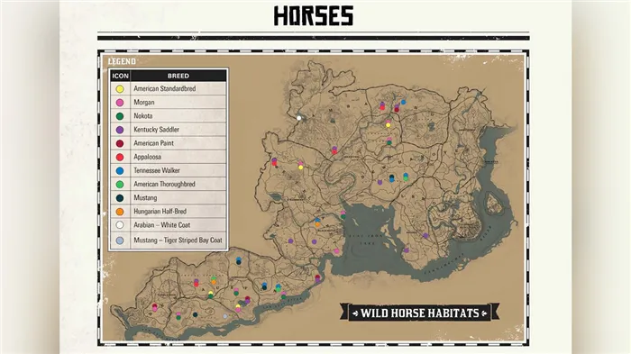 Как получить лучшую лошадь в Red Dead Redemption 2: породы лошадей, цены, характеристики, как чистить, приручать, оживлять и тренировать лошадь