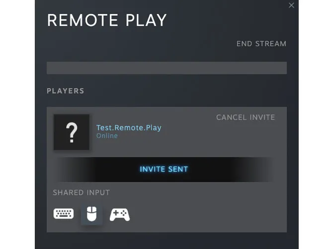 Пример способности Steam Remote Play контролировать сетевую игру