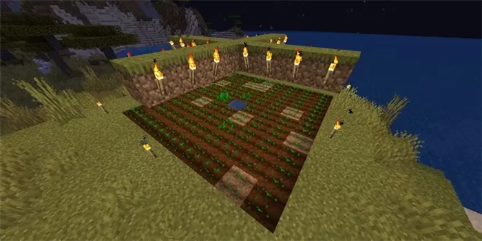 Как свет влияет на растения в Minecraft