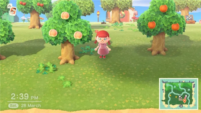 Обзор Animal Crossing: New Horizons. Когда ипотека в радость 14