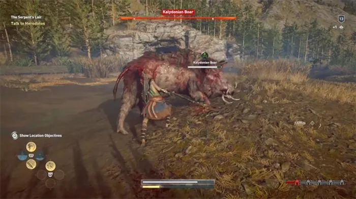 Description: The Kalydonian Boar is the first of the legendary beasts you have to hunt for - Kalydonian Boar (Phokis) - Hunting for Seven Beasts in Assassins Creed Odyssey - Hunting for Seven Beasts - Assassins Creed Odyssey Guide