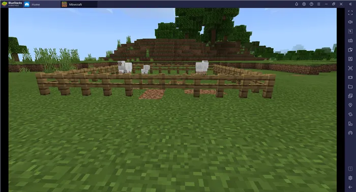 Как построить ферму для животных в Minecraft?
