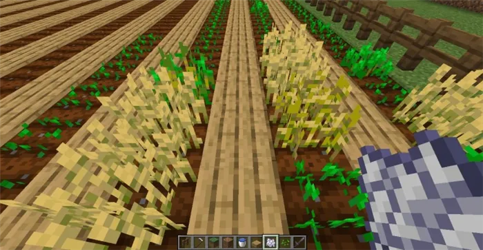  Как построить базовую ферму в Minecraft